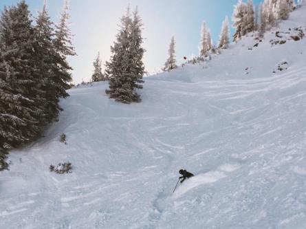 12592224_10153967965946694_433248900337821243_n