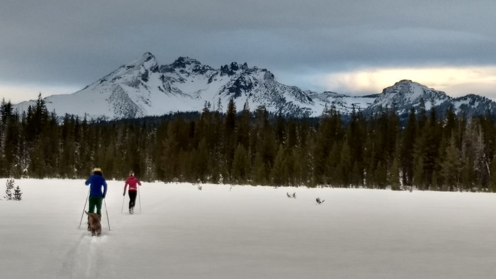 IMG_20171108_073752368_HDR