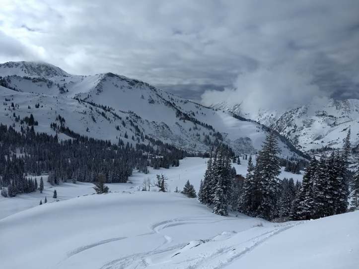 26805105_10213675669997392_5669192046586896986_n