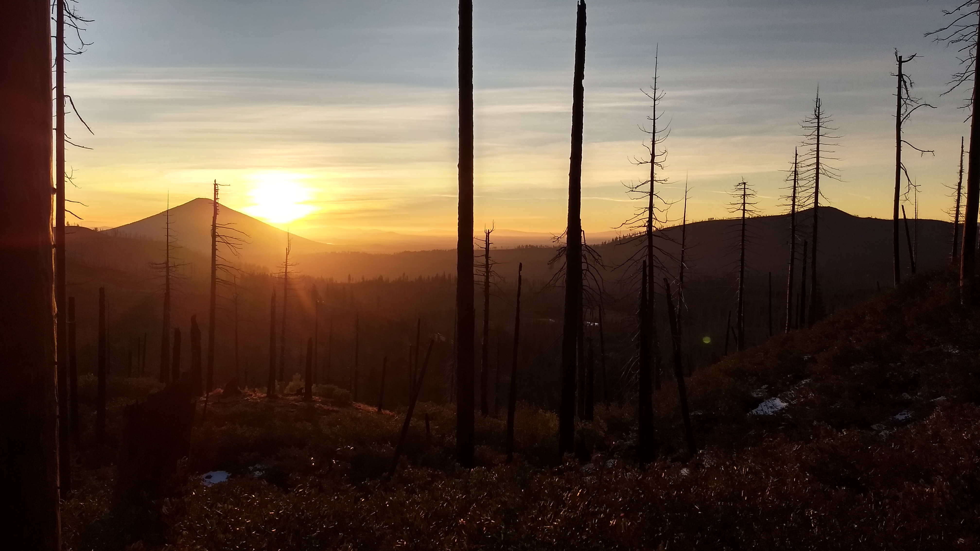 IMG_20171023_074107666_HDR