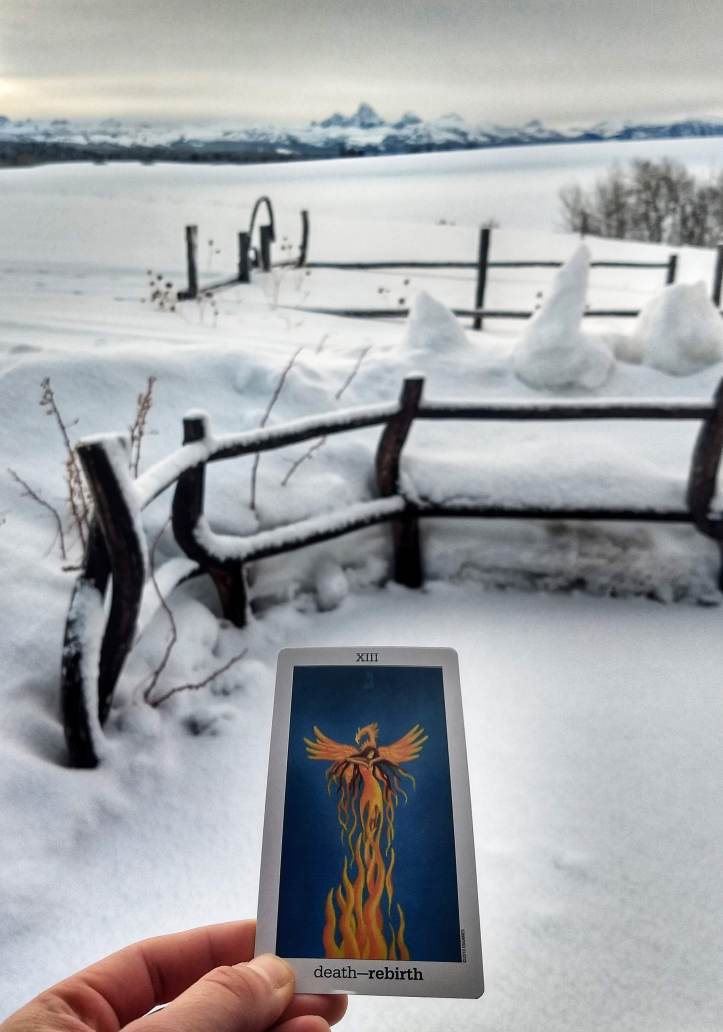 IMG_20190308_072833834_HDR-01