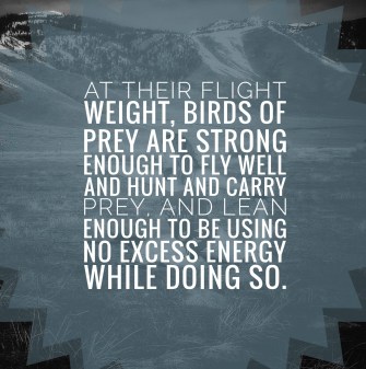 img_20190329_083219868-01-01-01